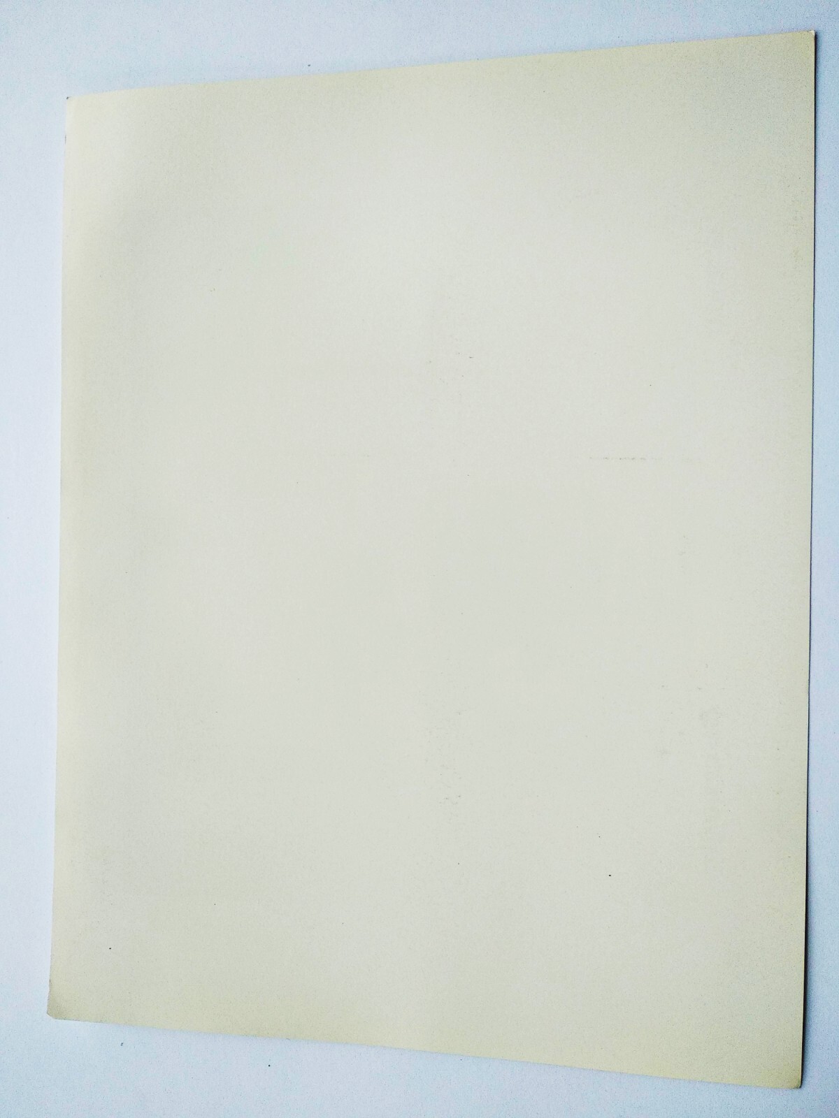 Foto 5 di 5