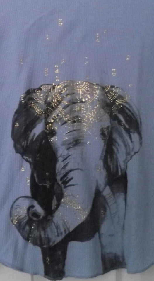 CAMISETA TÉRMICA MUDD NIÑA MANGA LARGA AZUL - ELEFANTE - TALLA 12 - NUEVA CON ETIQUETAS Foto 2 de 4