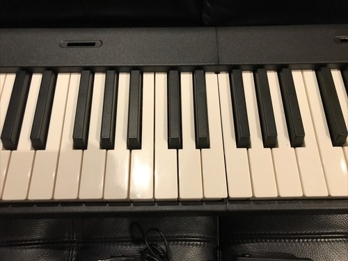 Eastar EP-10 Portable Foldable Digital, 88 Key, Full Size Keyboard With Pedal - Picture 4 of 14