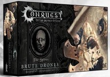 Para Bellum - Conquest The Last Argument of Kings - The Spires Brute Drones Regi