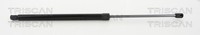Triscan Heckklappen DäMpfer Gasfeder Kofferraum 8710 40242 FüR Honda Civic IX FK