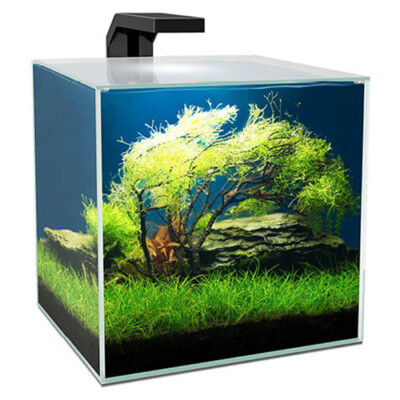 cube fish tank