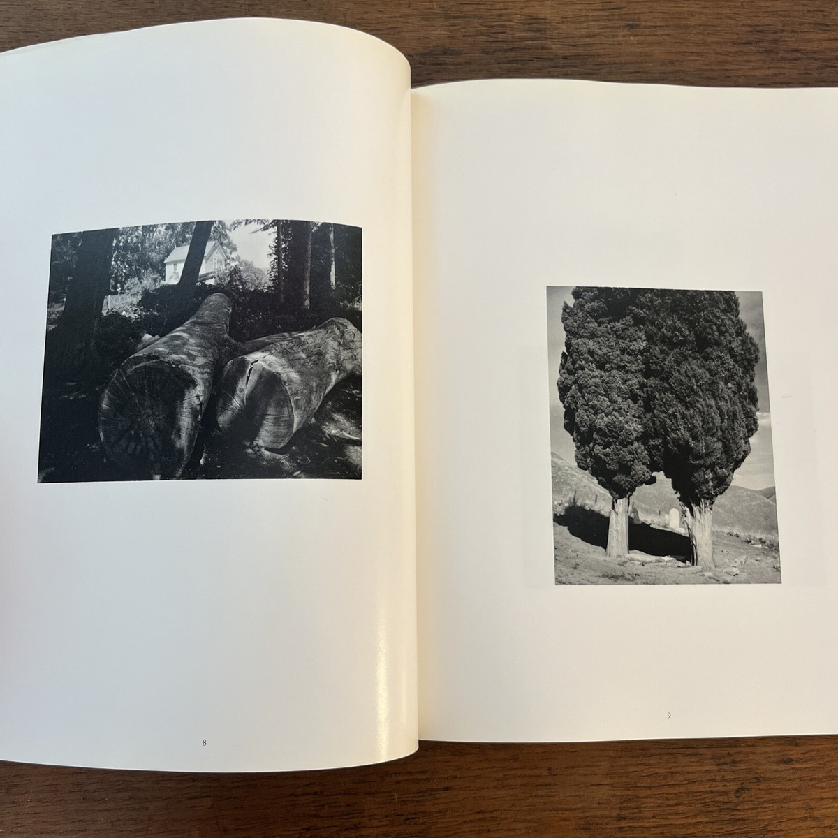 Singular Images by Ansel Adams Black and White Paperback | eBay