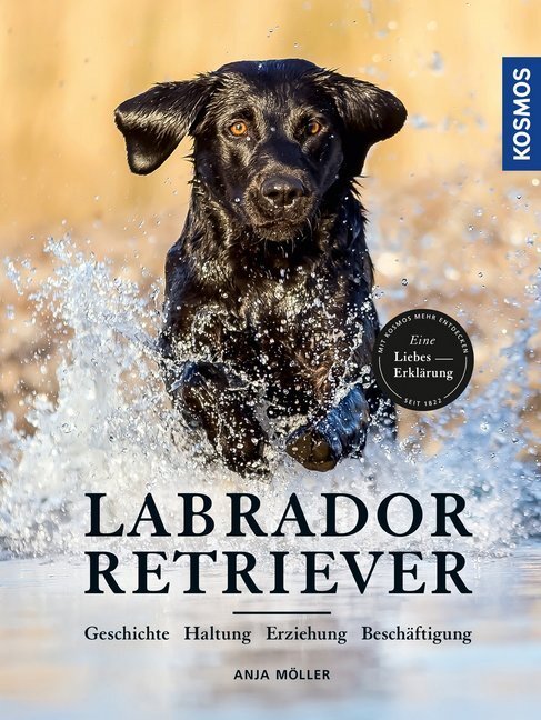 Labrador Retriever Von Anja Möller