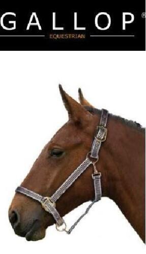 Collier tête en nylon Galop « Jaquard Pro », robuste, poney/épi/cheval, bleu bébé. - Photo 1/3