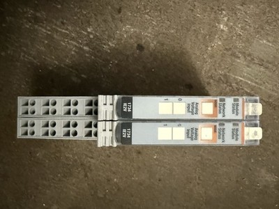 Allen-Bradley 1734-IE2V POINT I/O Analog Input ±10V 2CH tested