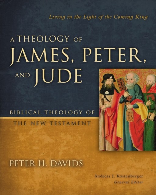 Theology Of James Peter And Jude, Hardback, Peter Davids - Image 4