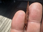Red Jasper Arrowhead found in Klamath County, OR 100% Authentic Guarantee. — photo 10