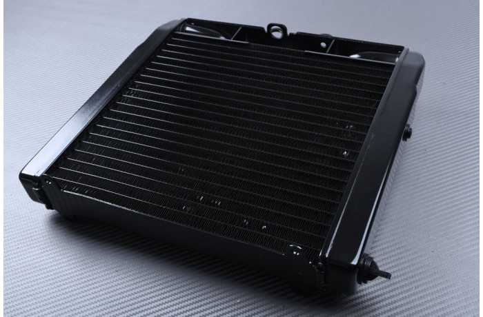 Radiateur eau de remplacement OEM pour Harley Davidson V-Rod du millésime 2002 à 2013