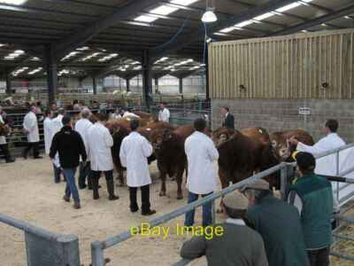 Photo 6x4 Inside Craven Cattle Market Skipton It's the annual show a c2011