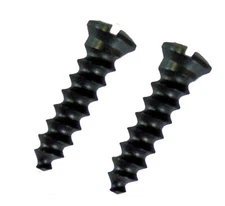 Tang Screws  (2)   New fits Stevens  1894  1915 Favorite 
