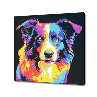 Border Collie Hund bunt Leinwandbild Wandbild Tierbild Wandbehang