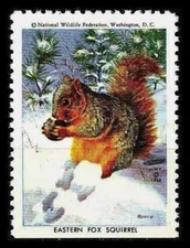 1966 NATIONAL WILDLIFE FEDERATION Poster Stamp 🦋EASTERN FOX SQUIRREL🦋 NWF 1966