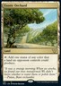 MTG Exotic Orchard (168/192) Kamigawa Neon Dynasty Commander LP