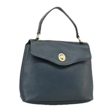 Christian Dior Hand Bag Leather Navy Gold Auth yk16078