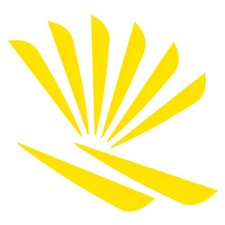 Letszhu Arrows Vanes 4 Inch Plastic Feather Fletching for DIY Archery Arrows ...