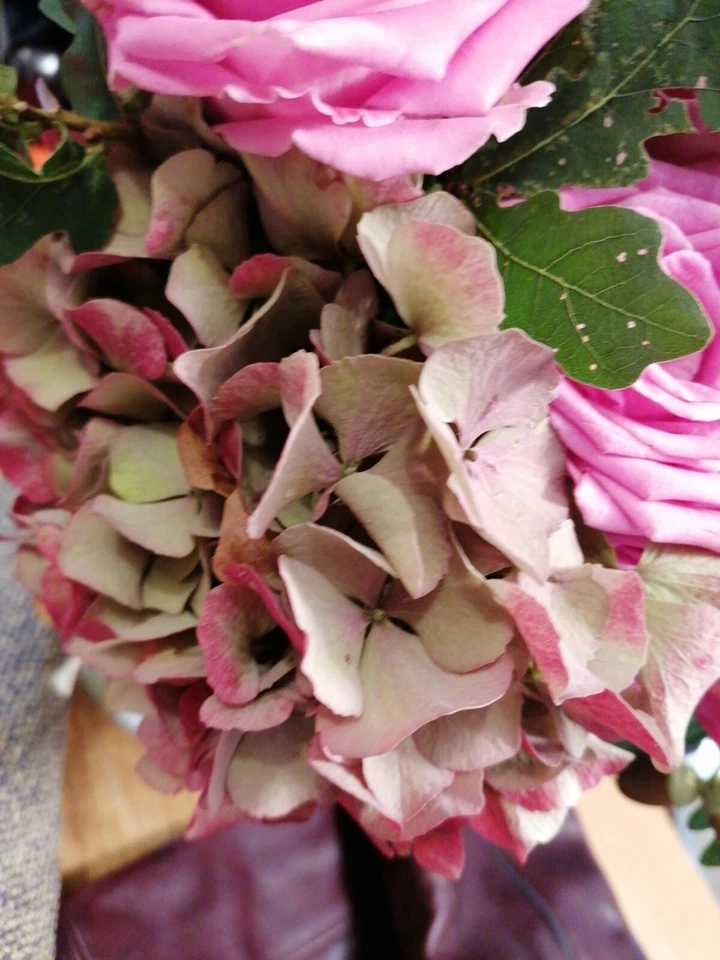 Fell Leder Mantel echtes Leder Fellbesatz Futter sehr warm BIBA neu 42 44 Jacke - Bild 2 von 4