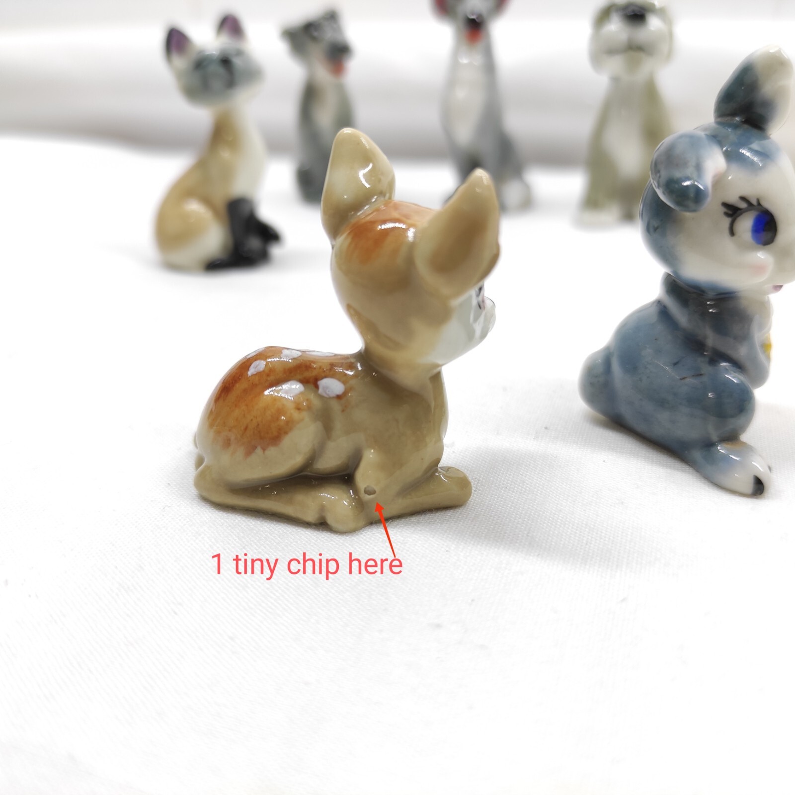 Picture 6 of 19