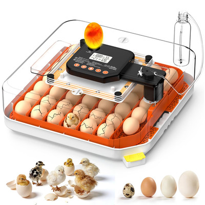 48 Egg Incubator for Hatching Eggs, Chicken Incubator with Auto Turner, Digital