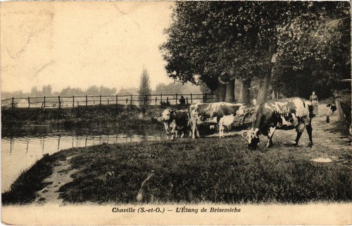 Carte Postale Ancienne – Chaville (92) – Les Bords De L'étang De Brisemiche – 1900