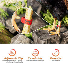 16mm 100 Pcs Adjustable Poultry Leg Bands,Chicken Leg Rings,Duck Leg Bands,5 ...
