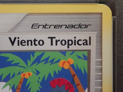 PSA 8 VIENTO TROPICAL VIENTO DP48 POKEMON CAMPEONATOS MUNDIALES 2009 TARJETA PROMOCIONAL SPAN - Imagen 9 de 20