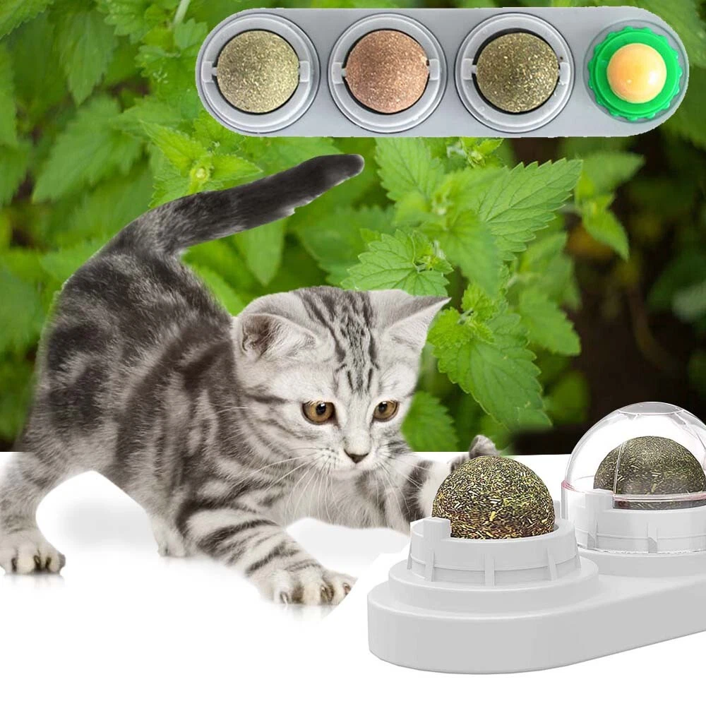 Ebay top cat supplies
