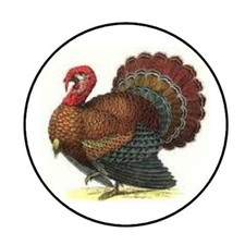 48 THANKSGIVING FALL TURKEY ENVELOPE SEALS LABELS STICKERS 1.2" ROUND