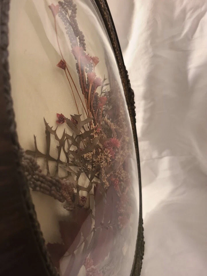 Marco de fotos de vidrio cúpula de burbujas de grano de madera vintage floral convexo arte de hierba y semillas Foto 3 de 4