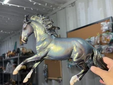 Breyer Model Horse Criollo Glossy One Of My Mesmerizing Pieces Long Mane CM=)