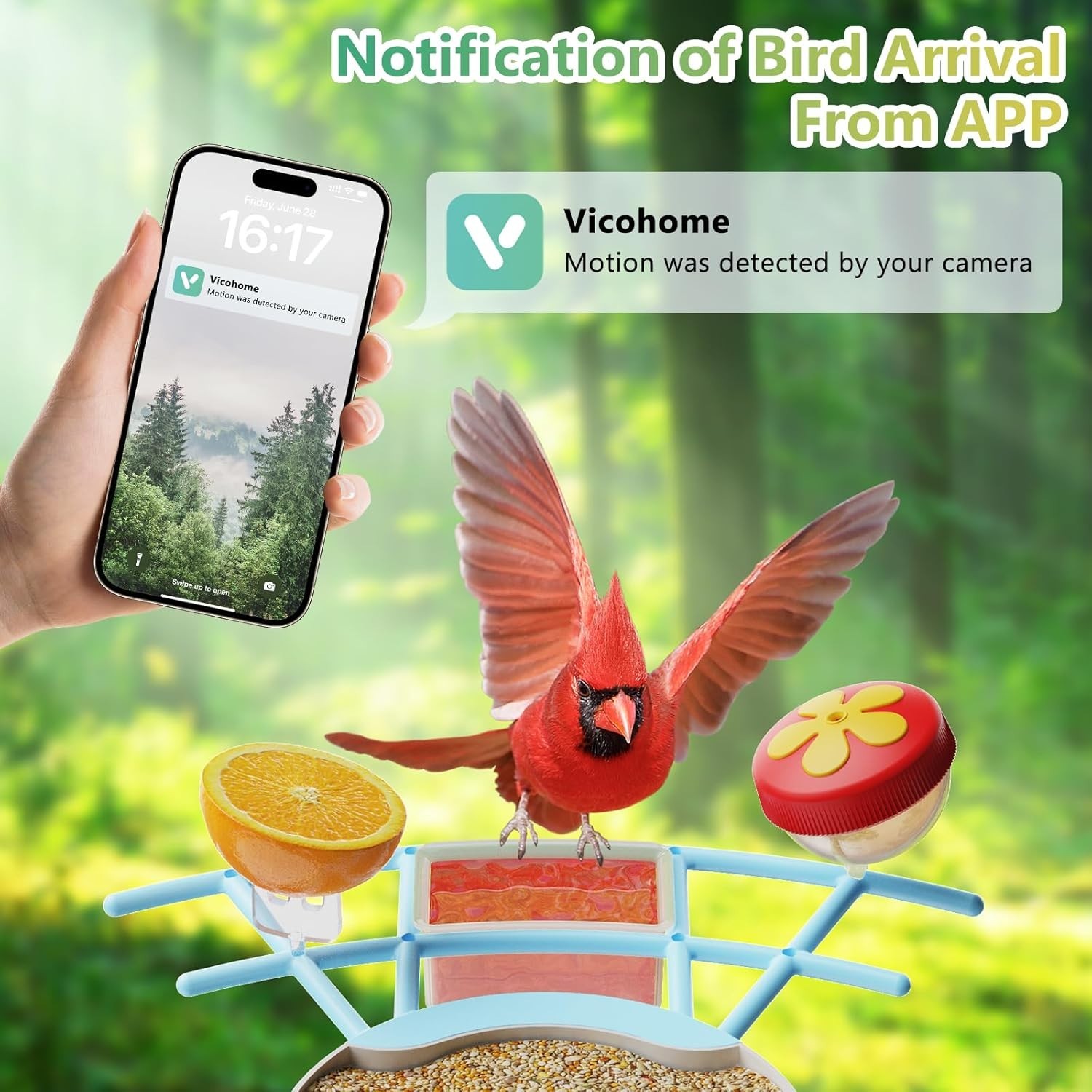 Smart Bird Feeder with Camera, Outdoor Bird Watching Camera House with Solar Pow