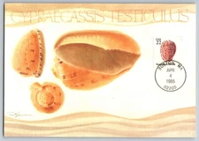 #2117-21 Seashells Set of 4 FDC Maxi Cards