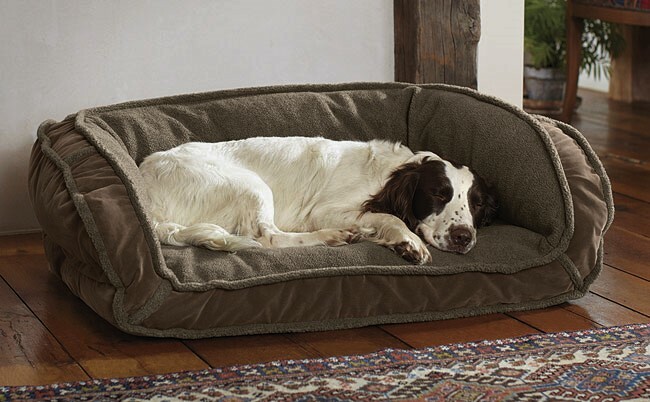 orvis memory foam deep dish dog bed
