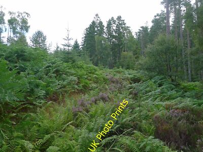 Foto 12x8 Das Ende des Fortschritts entlang der kartierten Forststrecke Craigdarroc c2015