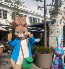 Adult PETER   RABBIT Mascot Costume