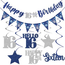 Blue Silver 16th Birthday Decorations for Boys Girls, Happy