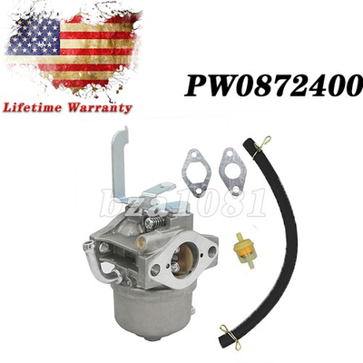 #ad For Coleman PW0872400 2400PSI 171cc 175cc Pressure Washer Carburetor $15.99