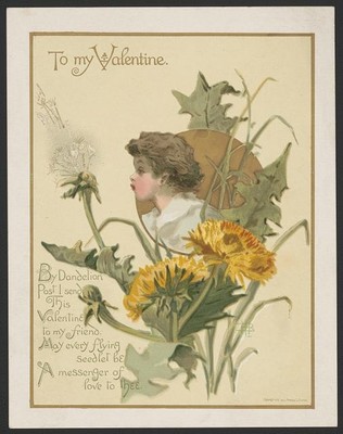 To my valentine. By dandelion post I send this valentine to my friend /