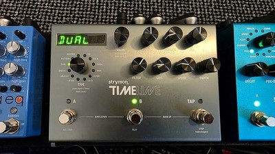 Strymon Timeline, Delay Guitar Pedal, 1 Jahr alt, Top Zustand