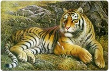 TischSet 3 D Tiger Platzset 2erSet Platzdeckchen Poster Bild Raubkatze neu