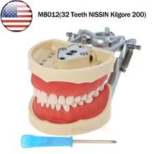 Dental Typodont Model With 32Pcs Removable Teeth M8012 Kilgore NISSIN 200 Type