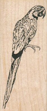 Polly Wants A Cracker 1 3/4 x 4'' Rubber Stamp, Bird Stamp, Parrot Stamp