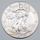 2013 American Silver Eagle 1 Ounce .999 Fine US Mint Bullion Coin