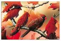 Tree-free Greetings Eco Notes 12 Count Notecard Set With Envelopes, 4x6 Inches, Tree-free Greetings Eco Notes 12 Count Notecard Set With Envelopes, 4x6 Inches,