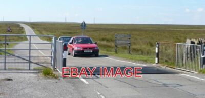 FOTO-VIEHGITTER FOCHRIW-VIEHGITTER AUF EINER NICHT EINGEZÄUNTEN STRASSE AUF GELGAER UND MIR