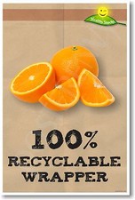 100 Recyclable Wrapper Orange - NEW Environmental Healthy Snacks Fruit POSTER