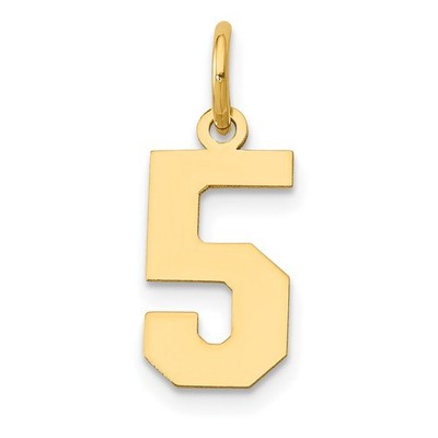 14K Gelbgold kleine polierte Zahl 5 Charm
