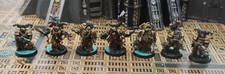 Deathguard 7x Plague Marines with Champion - Artist Painted 5665