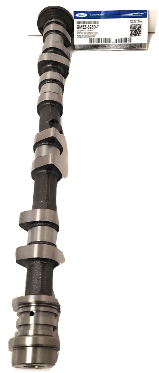 Cmanats Gen 5 (2016) Cam Chain Tensioner dilemma | Kawasaki ZX-10R Forum