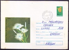 Rare Dianthus spiculifolius Schur plant, Romania 1975 Used Prepaid cover  